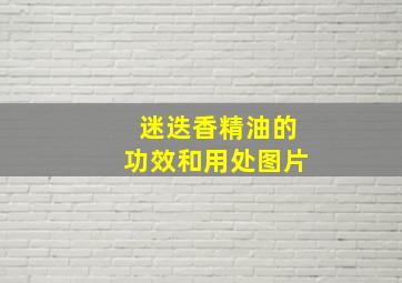 迷迭香精油的功效和用处图片