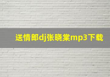 送情郎dj张晓棠mp3下载