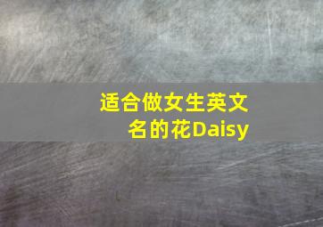 适合做女生英文名的花Daisy