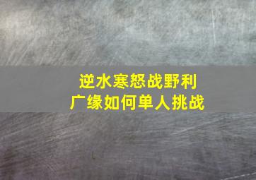 逆水寒怒战野利广缘如何单人挑战