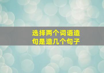 选择两个词语造句是造几个句子