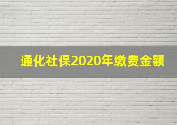 通化社保2020年缴费金额