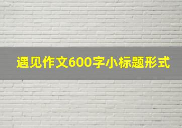 遇见作文600字小标题形式