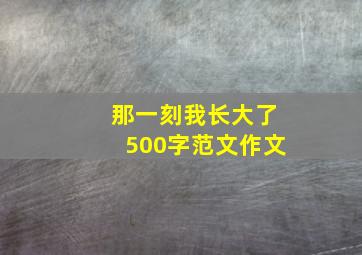 那一刻我长大了500字范文作文