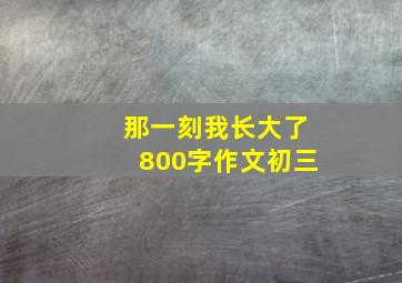 那一刻我长大了800字作文初三