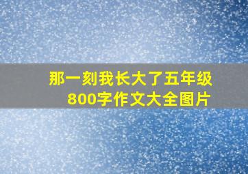 那一刻我长大了五年级800字作文大全图片