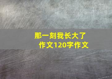 那一刻我长大了作文120字作文