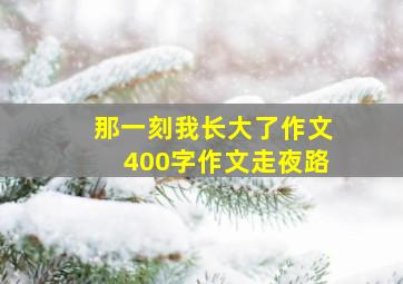 那一刻我长大了作文400字作文走夜路