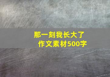 那一刻我长大了作文素材500字