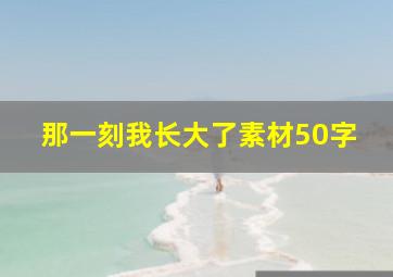 那一刻我长大了素材50字