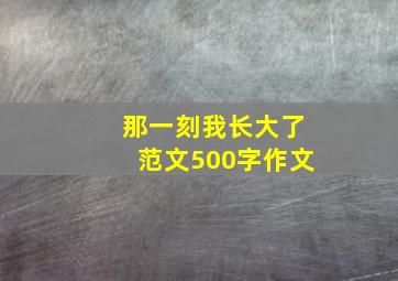 那一刻我长大了范文500字作文