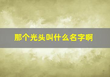 那个光头叫什么名字啊