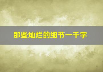 那些灿烂的细节一千字