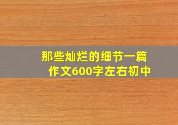 那些灿烂的细节一篇作文600字左右初中