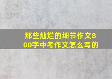 那些灿烂的细节作文800字中考作文怎么写的