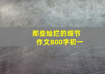 那些灿烂的细节作文800字初一