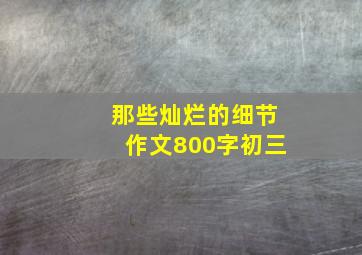 那些灿烂的细节作文800字初三