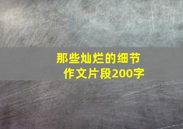 那些灿烂的细节作文片段200字