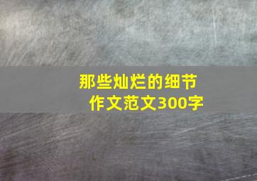 那些灿烂的细节作文范文300字