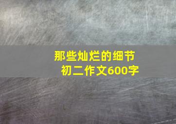 那些灿烂的细节初二作文600字