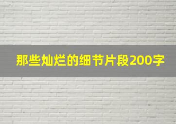 那些灿烂的细节片段200字