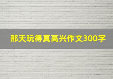 那天玩得真高兴作文300字