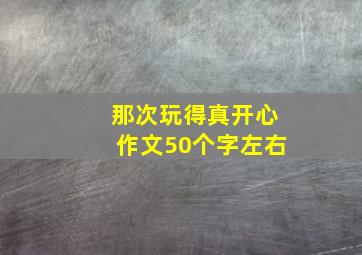 那次玩得真开心作文50个字左右