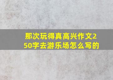 那次玩得真高兴作文250字去游乐场怎么写的