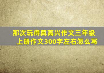 那次玩得真高兴作文三年级上册作文300字左右怎么写