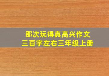 那次玩得真高兴作文三百字左右三年级上册