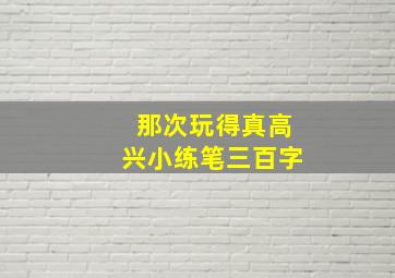 那次玩得真高兴小练笔三百字