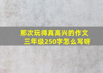 那次玩得真高兴的作文三年级250字怎么写呀