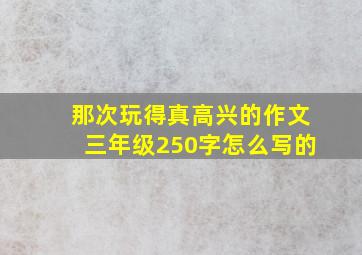 那次玩得真高兴的作文三年级250字怎么写的