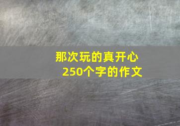 那次玩的真开心250个字的作文