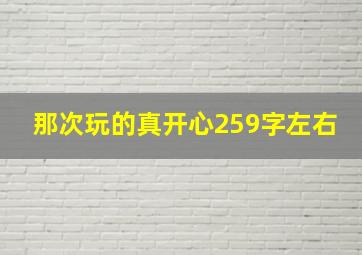 那次玩的真开心259字左右