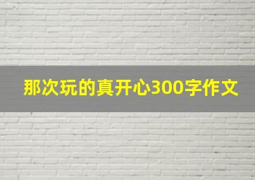 那次玩的真开心300字作文