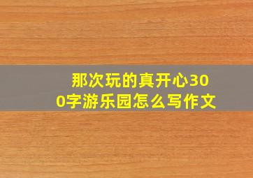 那次玩的真开心300字游乐园怎么写作文