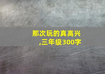 那次玩的真高兴,三年级300字