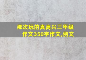 那次玩的真高兴三年级作文350字作文,例文