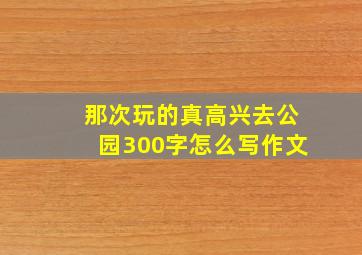 那次玩的真高兴去公园300字怎么写作文