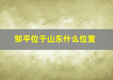 邹平位于山东什么位置