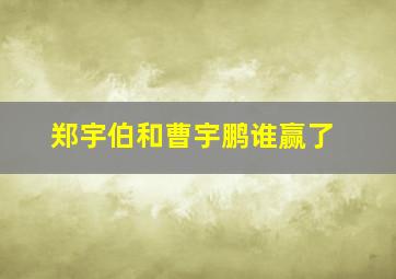 郑宇伯和曹宇鹏谁赢了