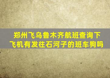 郑州飞乌鲁木齐航班查询下飞机有发往石河子的班车狗吗