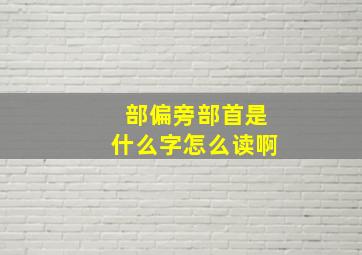 部偏旁部首是什么字怎么读啊