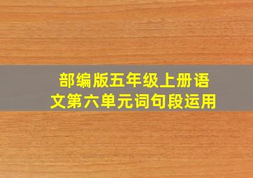 部编版五年级上册语文第六单元词句段运用