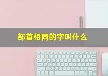 部首相同的字叫什么