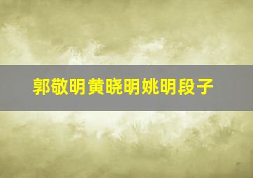 郭敬明黄晓明姚明段子