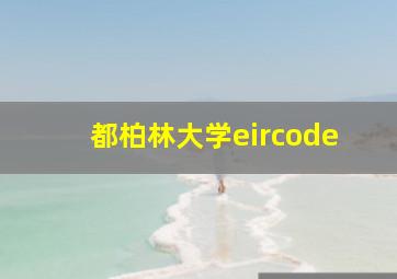 都柏林大学eircode