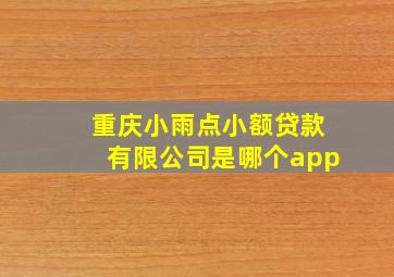 重庆小雨点小额贷款有限公司是哪个app