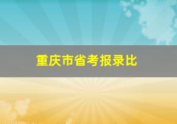 重庆市省考报录比